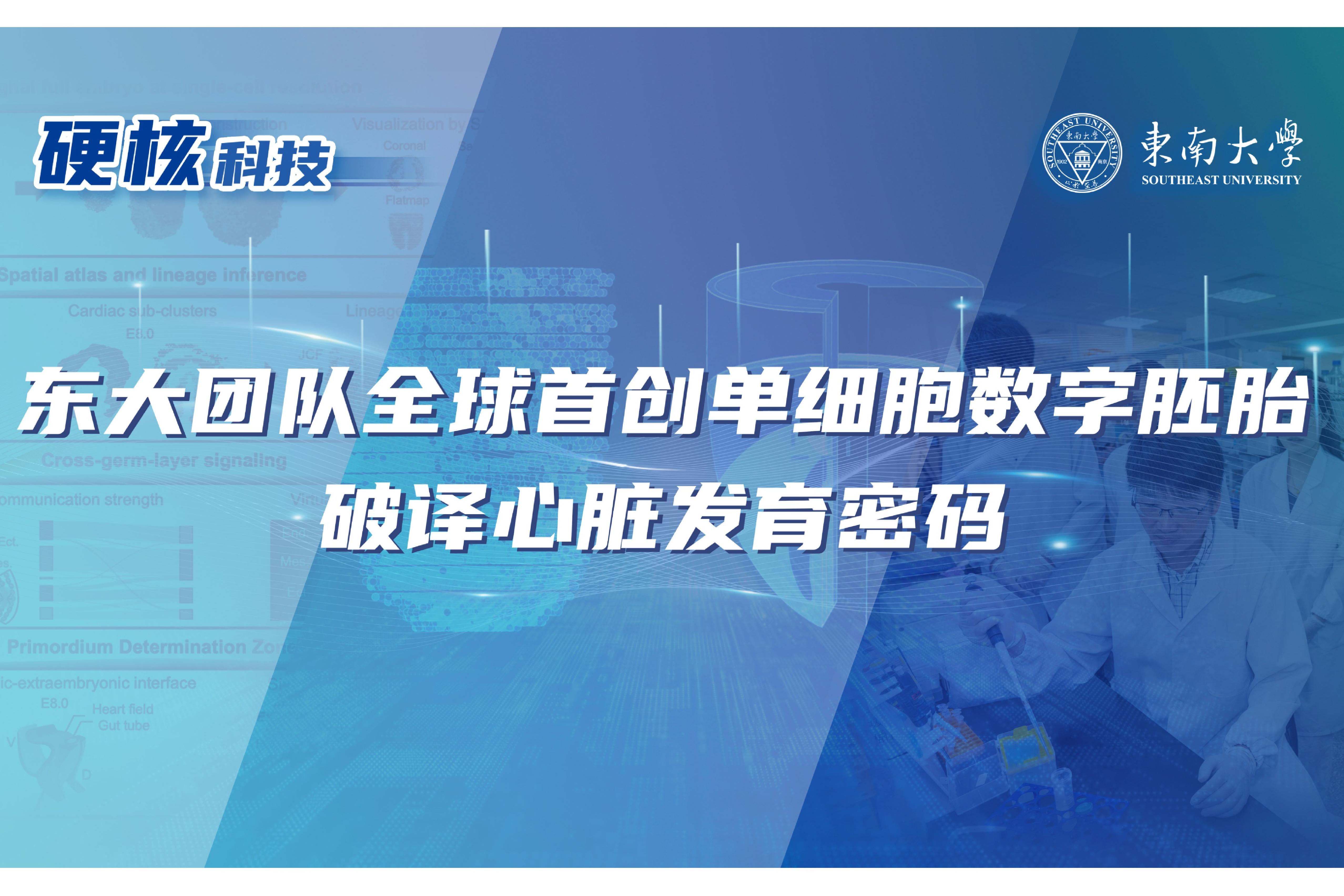 【光明日报】ac米兰官方中文网站团队破译心脏发育密码 为先心病等出生缺陷防治与再生医学研究提供关键理论基础